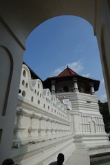 DSC01106a